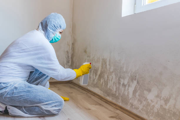 Licensed Mold Testing service in Catharpin, VA - WQB Mold Removal