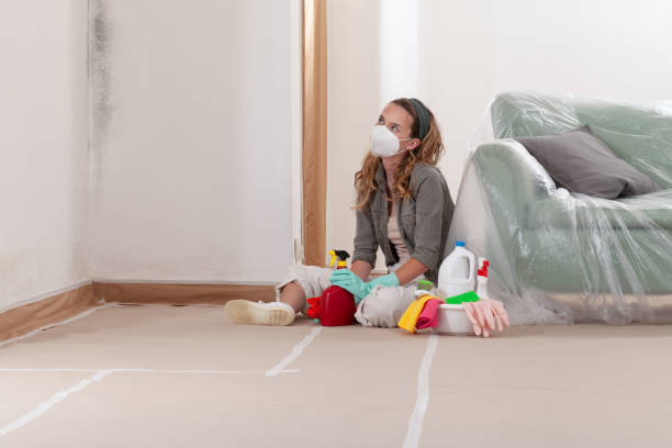 Reliable Mold Testing contractor in Catharpin, VA by WQB Mold Removal