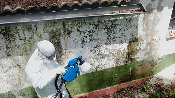 Top rated local Mold Testing specialists in Catharpin, VA